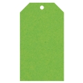 Geschenkanhänger aus Karton 45x80 mm grasgrün
