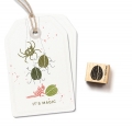 Ministempel Walnuss 2