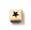 Ministempel Weihnachtsstern