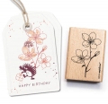 Stempel Obstbltenzweig