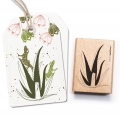 Stempel Pflanze 44 Aloe Vera
