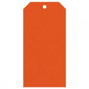 Geschenkanhänger aus Karton extra groß 60x120 mm orange