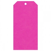 Geschenkanhänger aus Karton extra groß 60x120 mm pink