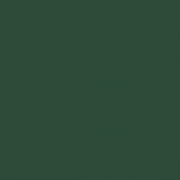 400m Stickgarn Madeira Polyneon No.40 Col. 1902 pine green