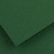 Fotokarton A4 300g/m² dunkelgrün