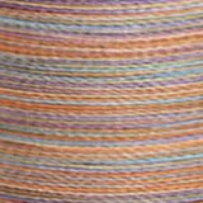 200m Stickgarn Madeira Polyneon No.40 multicolor Col. 1603 savanna