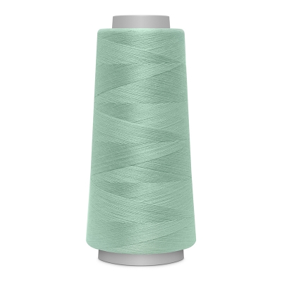 Overlockgarn Toldi-Lock by Gütermann 2.500m mint 7415